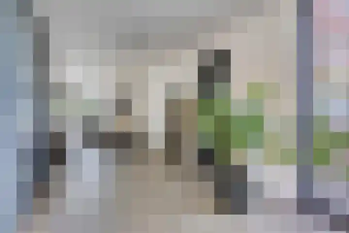 Cranendoncklaan 97 a Budel thumbnail 19