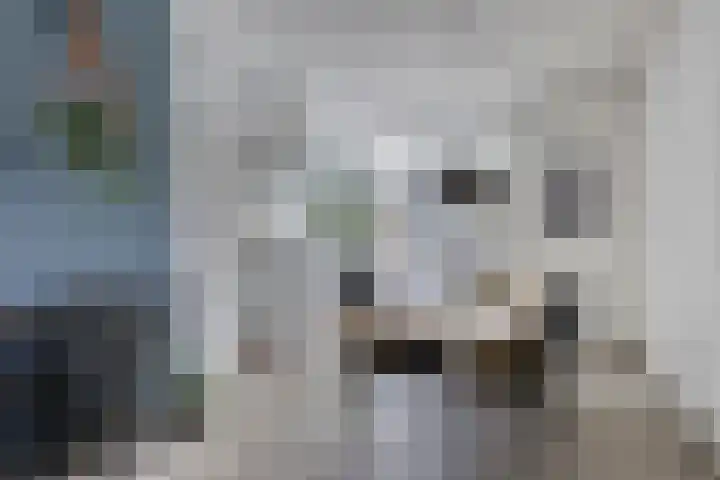 Cranendoncklaan 97 a Budel thumbnail 20