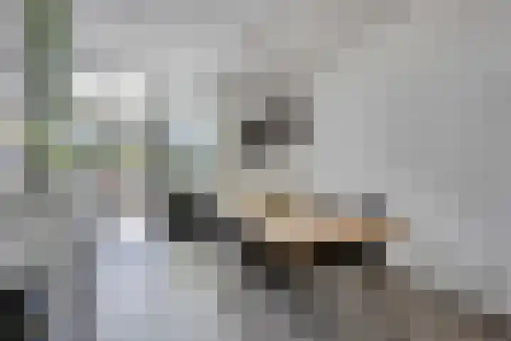 Cranendoncklaan 97 a Budel thumbnail 21
