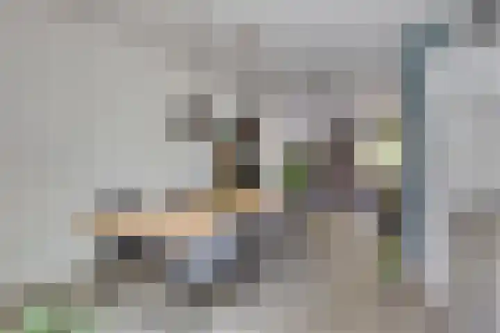 Cranendoncklaan 97 a Budel thumbnail 22