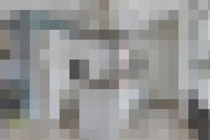 Cranendoncklaan 97 a Budel thumbnail 24