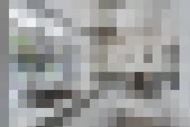 Cranendoncklaan 97 a Budel thumbnail 25