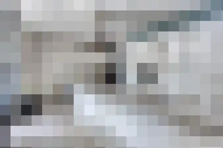 Cranendoncklaan 97 a Budel thumbnail 26