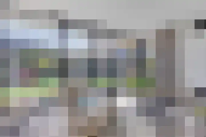 Cranendoncklaan 97 a Budel thumbnail 27
