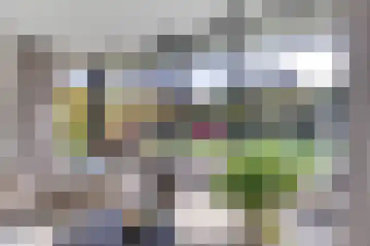 Cranendoncklaan 97 a Budel thumbnail 29