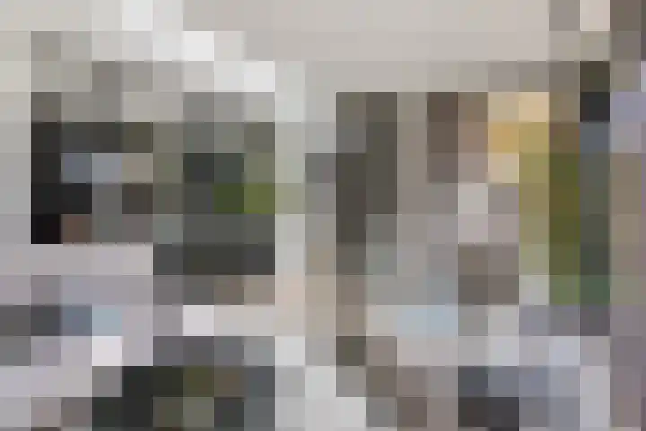 Cranendoncklaan 97 a Budel thumbnail 30