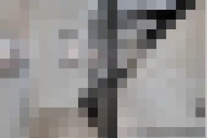 Cranendoncklaan 97 a Budel thumbnail 34