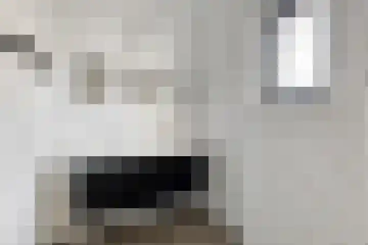 Cranendoncklaan 97 a Budel thumbnail 4