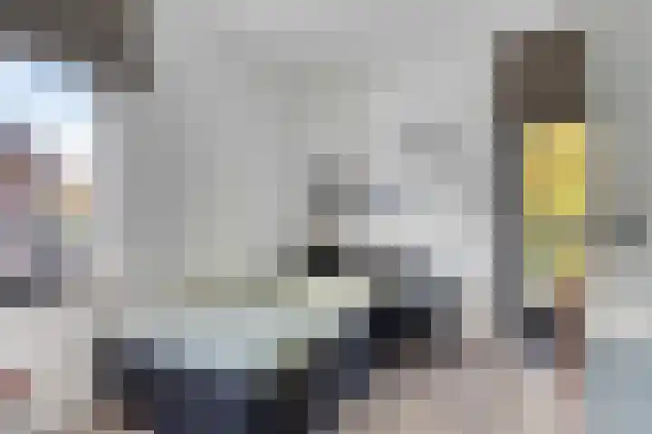 Cranendoncklaan 97 a Budel thumbnail 41