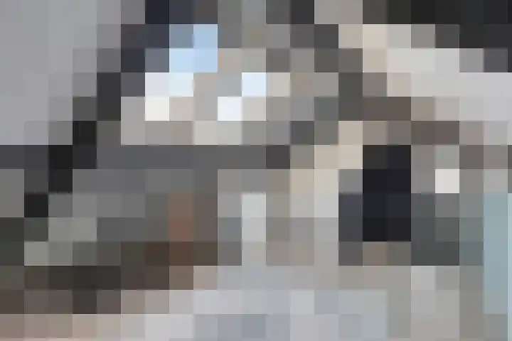 Cranendoncklaan 97 a Budel thumbnail 47