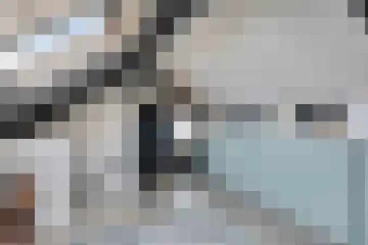 Cranendoncklaan 97 a Budel thumbnail 48