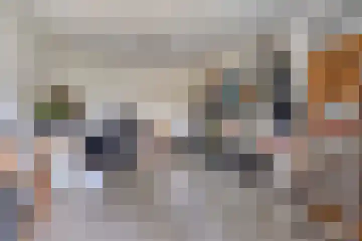 Cranendoncklaan 97 a Budel thumbnail 49
