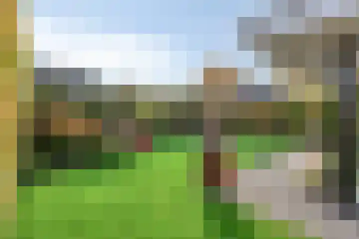 Cranendoncklaan 97 a Budel thumbnail 50