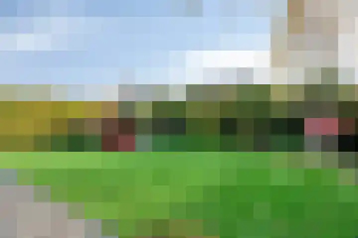 Cranendoncklaan 97 a Budel thumbnail 51
