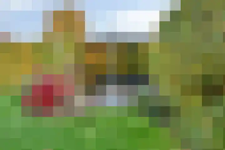 Cranendoncklaan 97 a Budel thumbnail 53