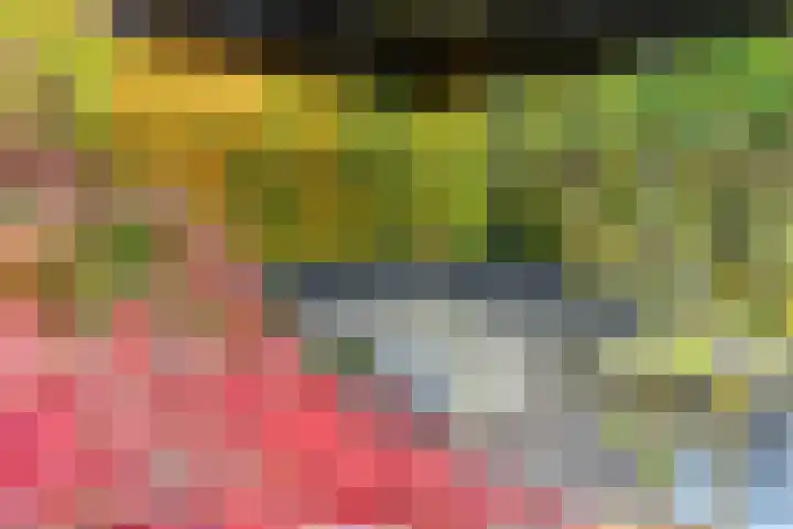 Cranendoncklaan 97 a Budel thumbnail 54