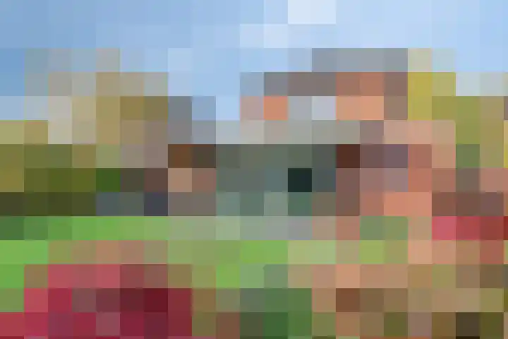 Cranendoncklaan 97 a Budel thumbnail 56