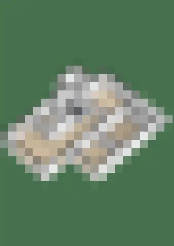 Cranendoncklaan 97 a Budel thumbnail 58