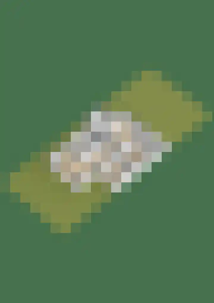 Cranendoncklaan 97 a Budel thumbnail 64