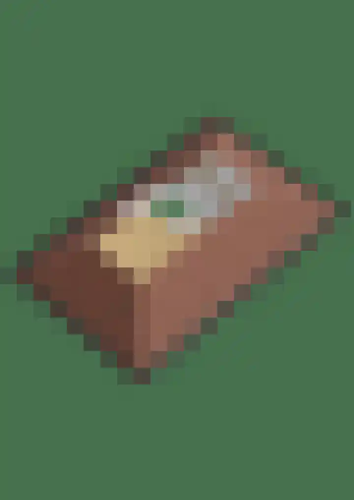 Cranendoncklaan 97 a Budel thumbnail 66
