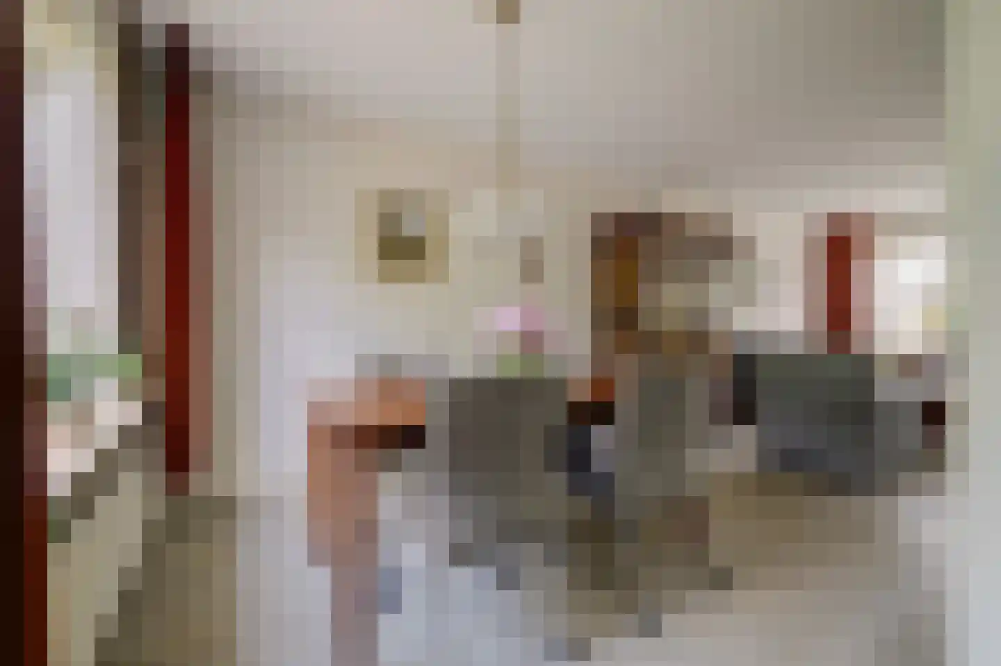 Cranendonckstraat 1 Hedel thumbnail 11