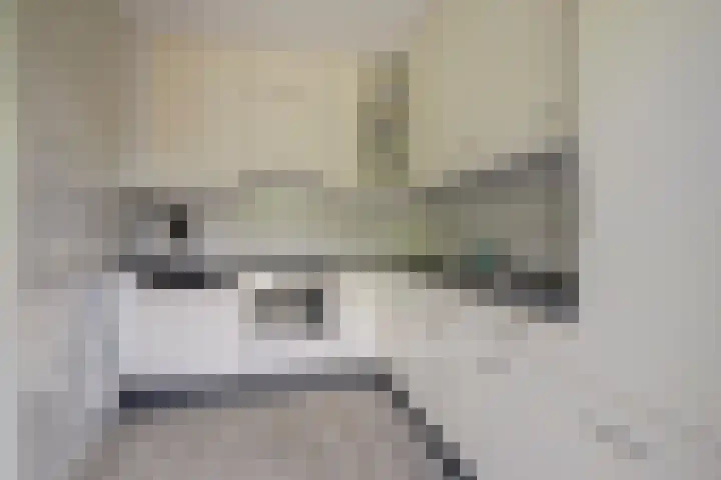 Cranendonckstraat 1 Hedel thumbnail 13