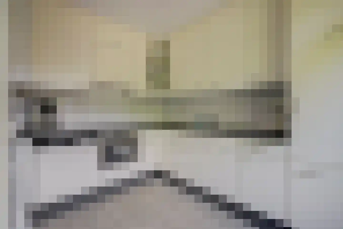 Cranendonckstraat 1 Hedel thumbnail 14