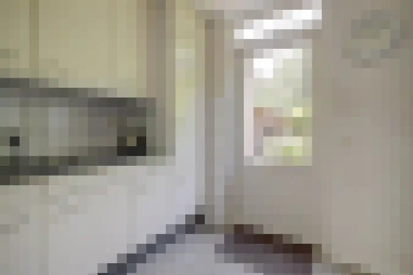 Cranendonckstraat 1 Hedel thumbnail 15
