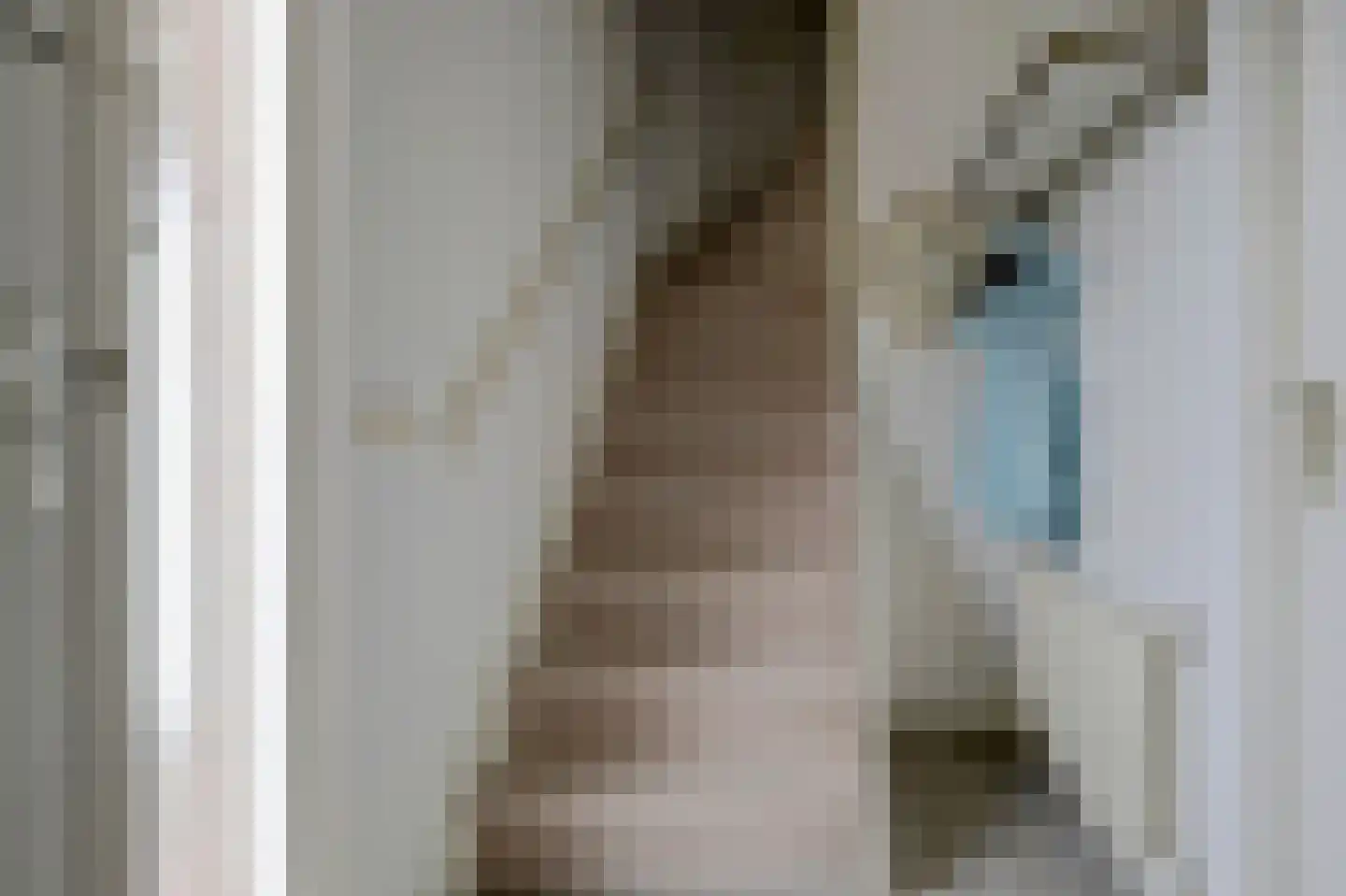 Cranendonckstraat 1 Hedel thumbnail 16