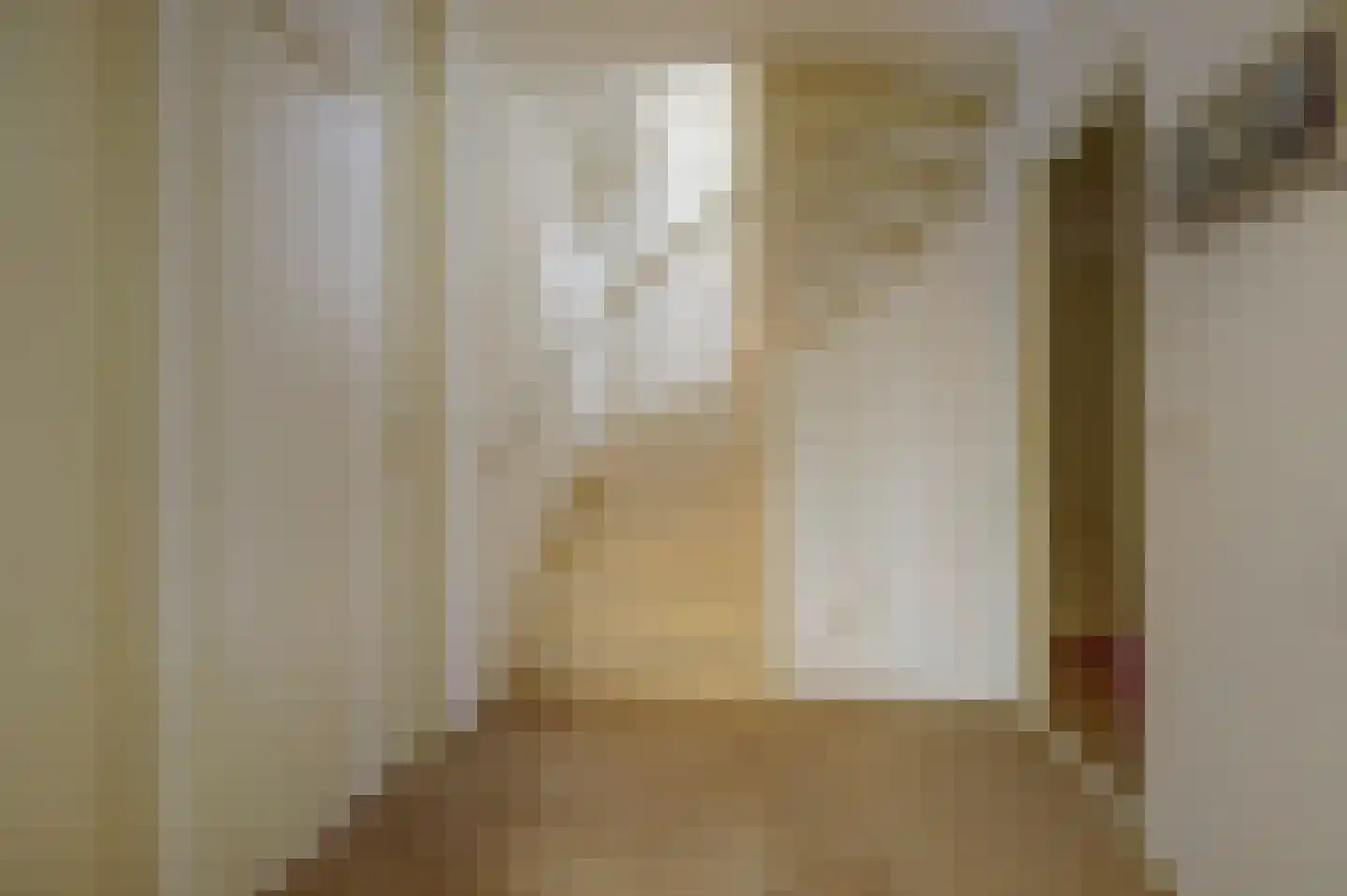 Cranendonckstraat 1 Hedel thumbnail 17