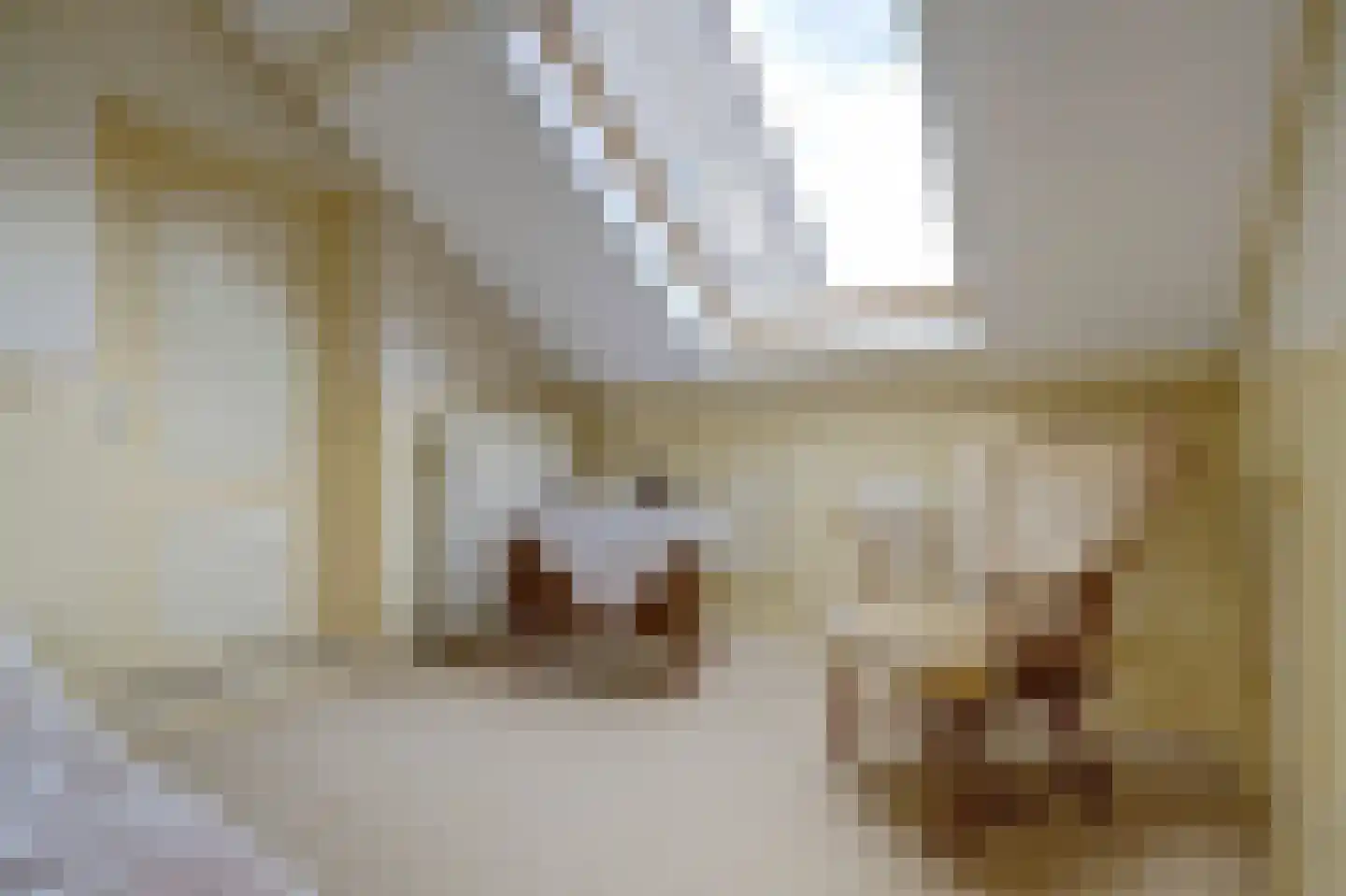 Cranendonckstraat 1 Hedel thumbnail 19