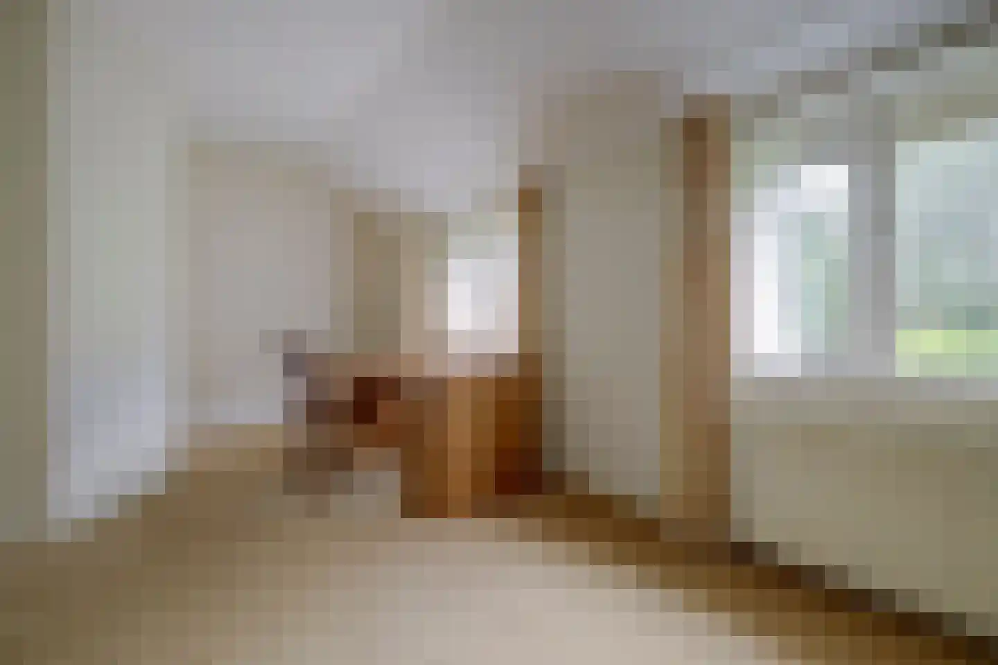 Cranendonckstraat 1 Hedel thumbnail 23