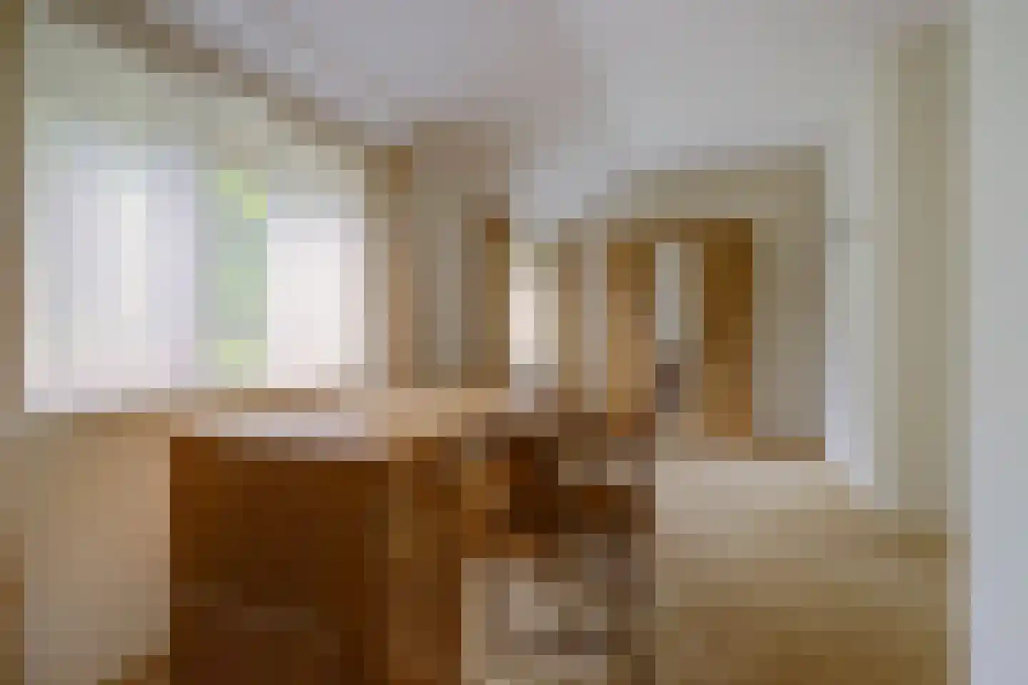 Cranendonckstraat 1 Hedel thumbnail 24