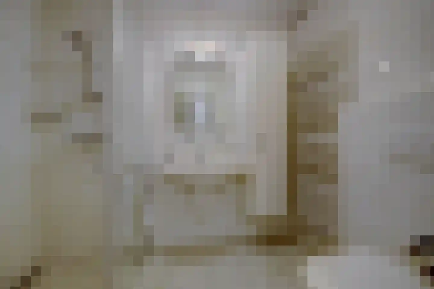Cranendonckstraat 1 Hedel thumbnail 25