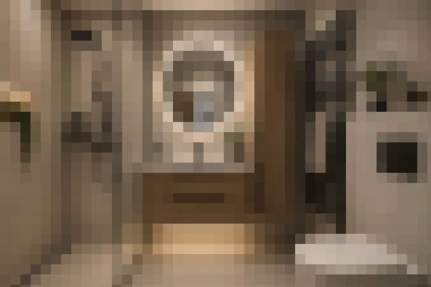 Cranendonckstraat 1 Hedel thumbnail 26