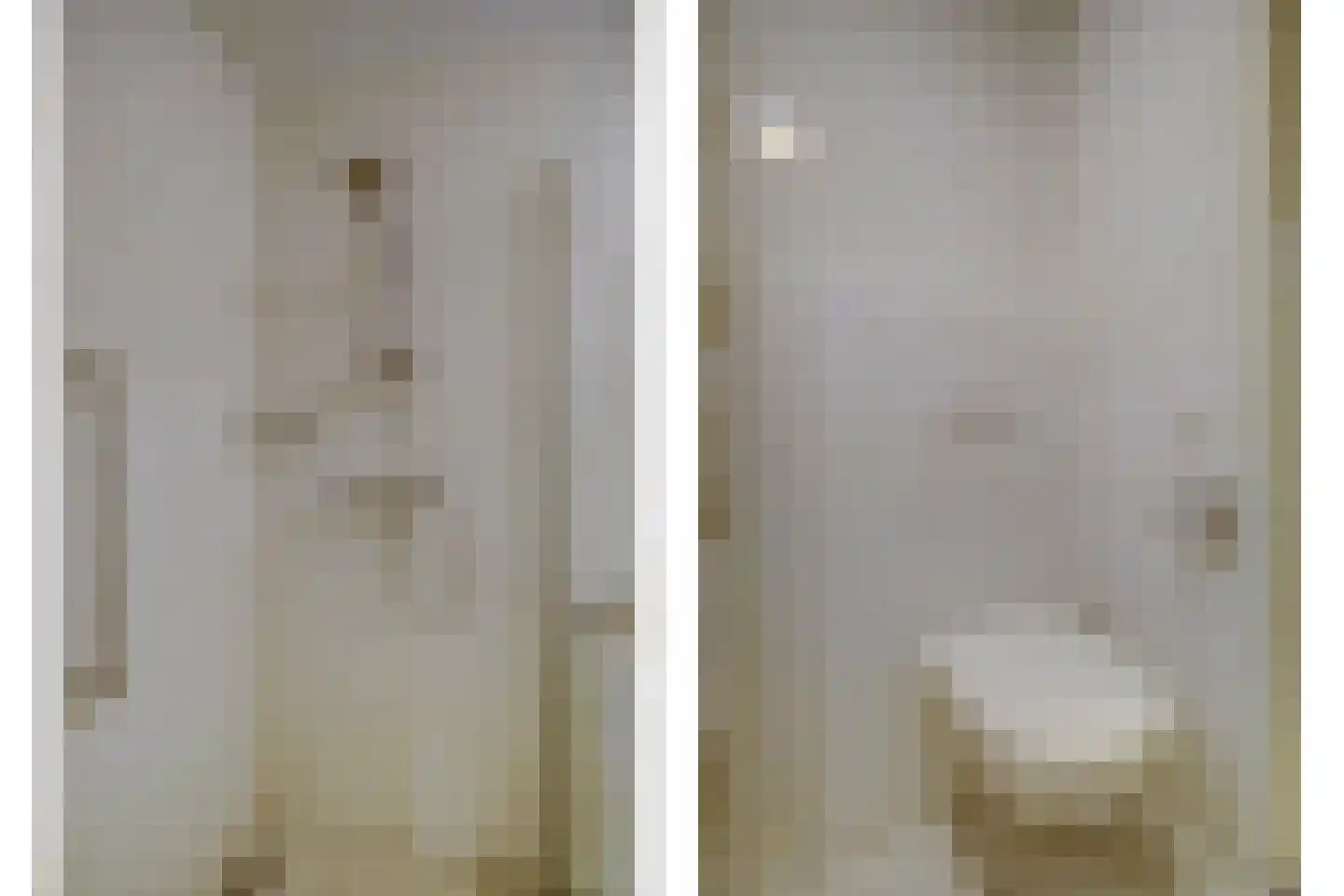 Cranendonckstraat 1 Hedel thumbnail 27