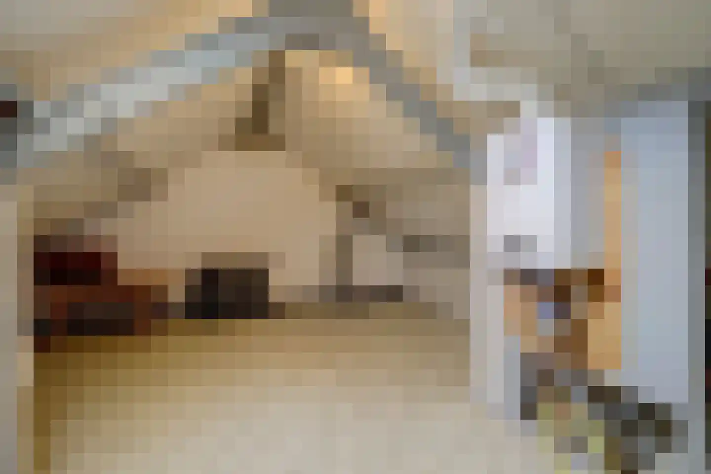 Cranendonckstraat 1 Hedel thumbnail 28