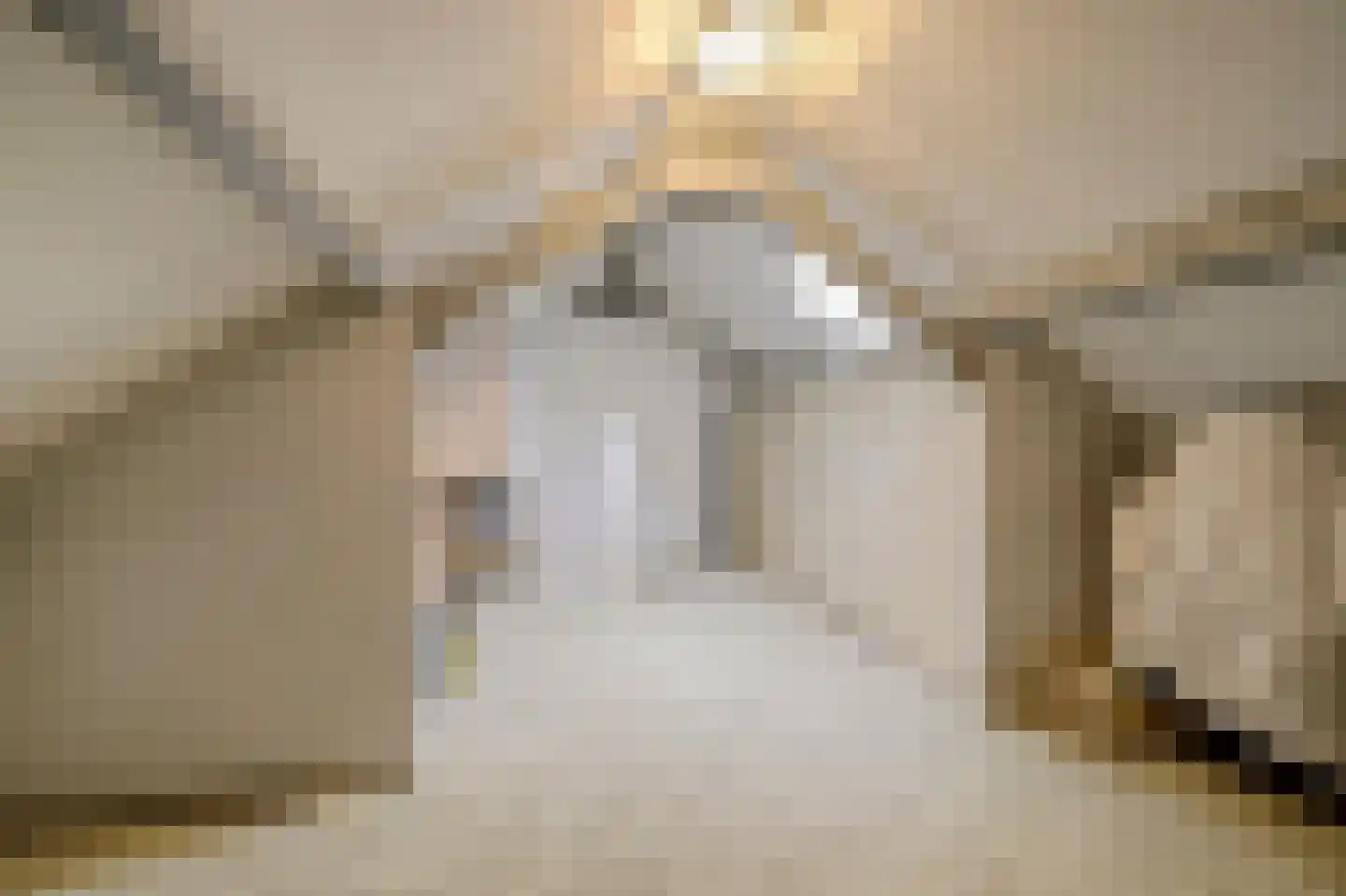 Cranendonckstraat 1 Hedel thumbnail 29
