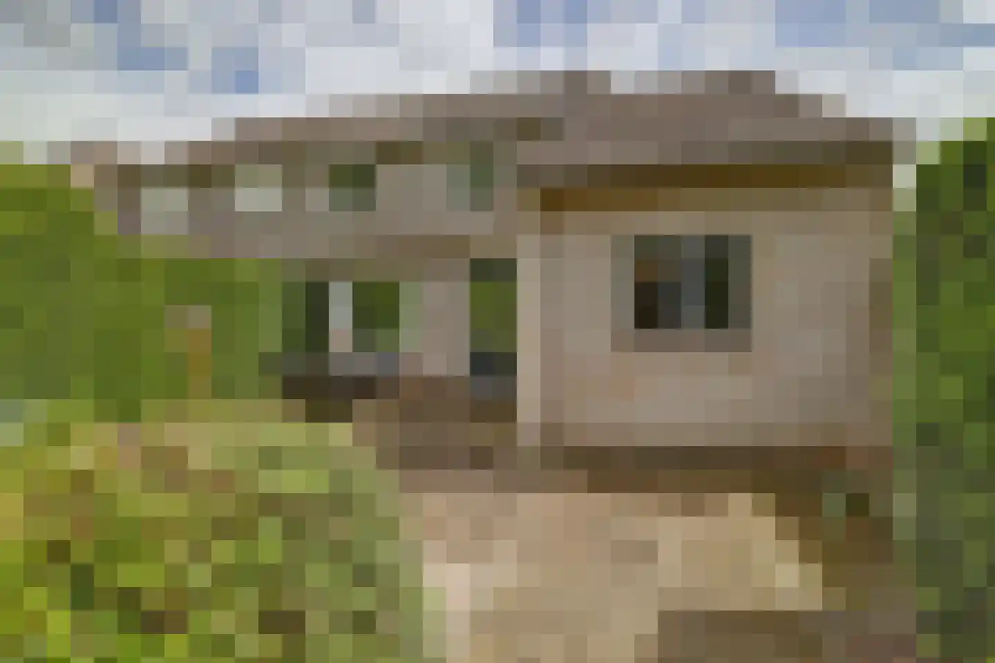 Cranendonckstraat 1 Hedel thumbnail 33