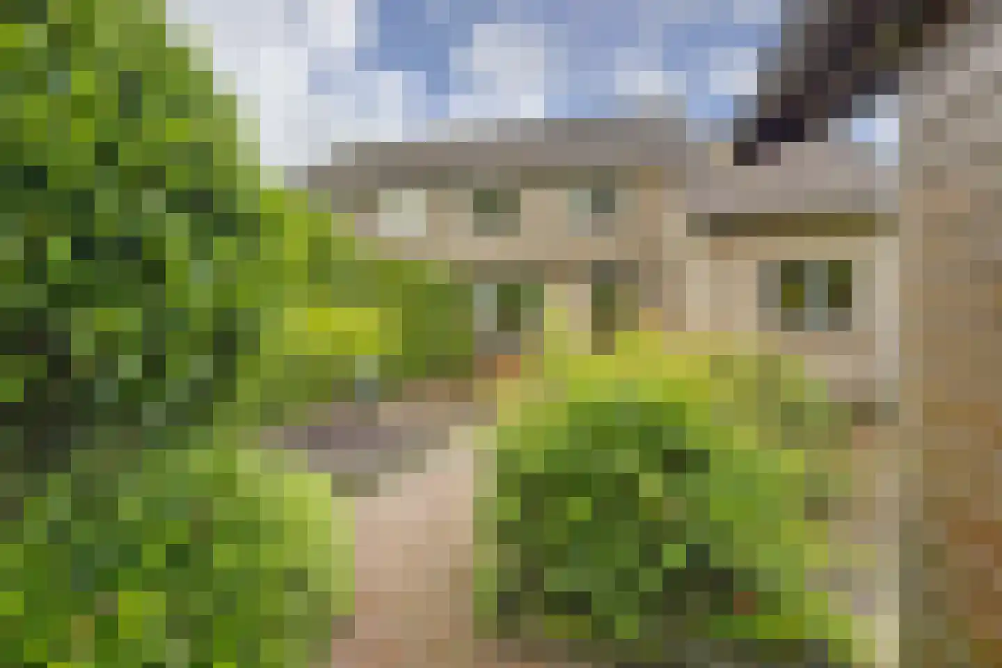 Cranendonckstraat 1 Hedel thumbnail 34