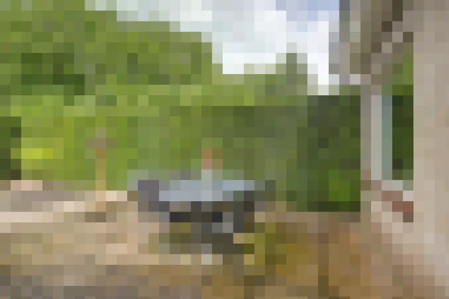 Cranendonckstraat 1 Hedel thumbnail 35