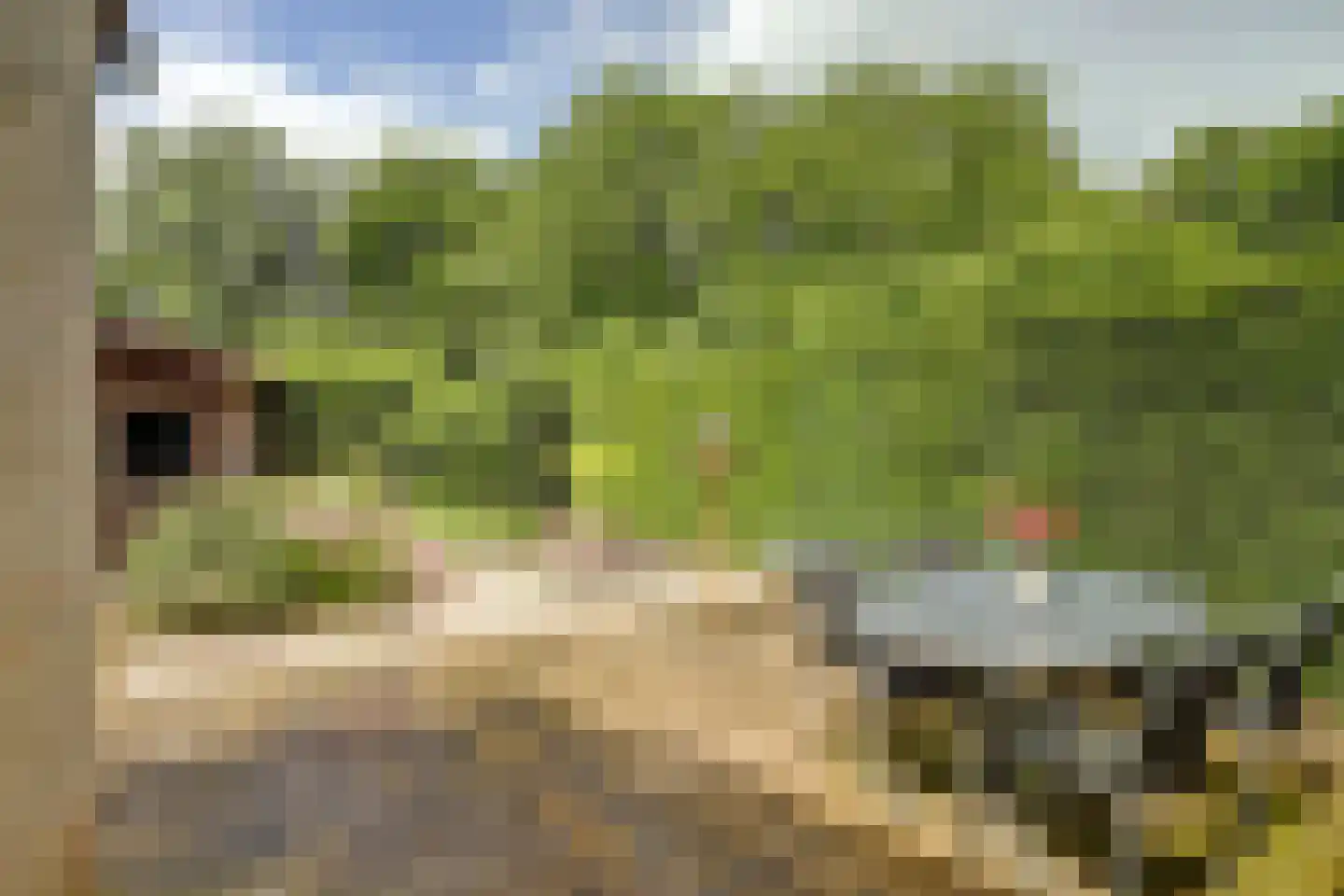 Cranendonckstraat 1 Hedel thumbnail 36