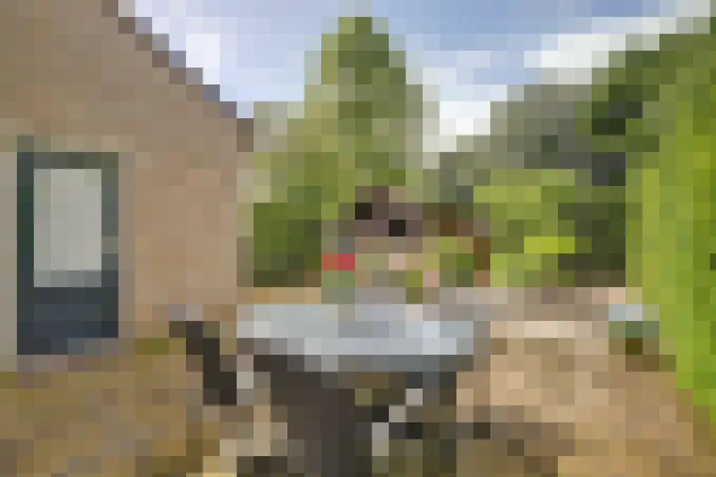 Cranendonckstraat 1 Hedel thumbnail 37