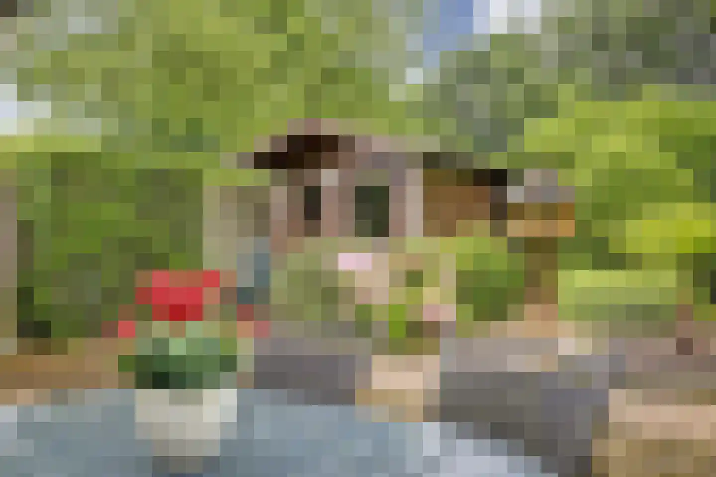 Cranendonckstraat 1 Hedel thumbnail 38