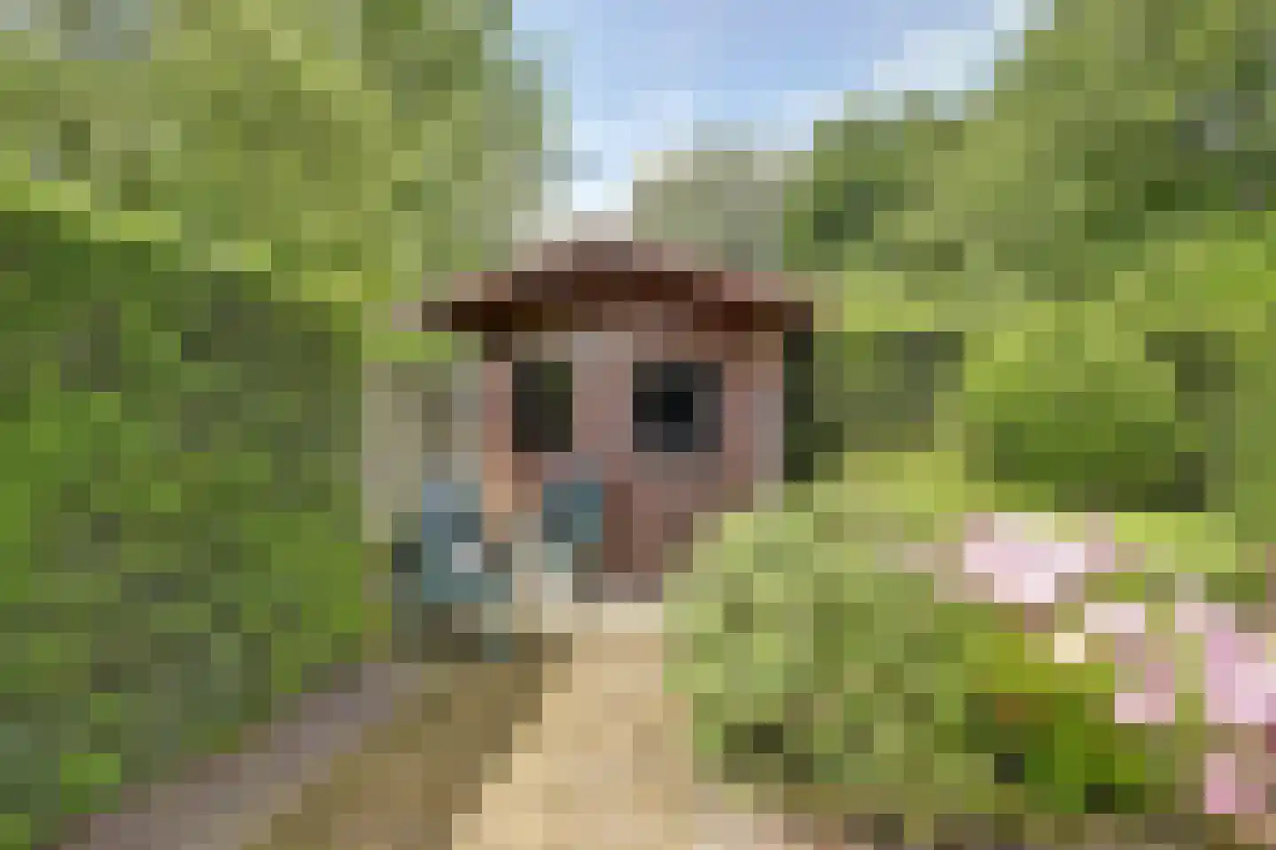Cranendonckstraat 1 Hedel thumbnail 39