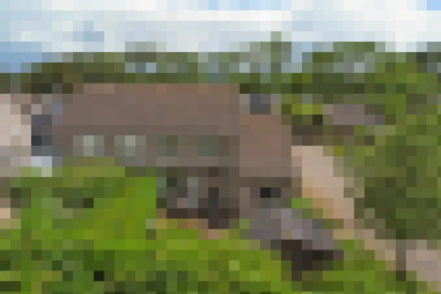 Cranendonckstraat 1 Hedel thumbnail 45