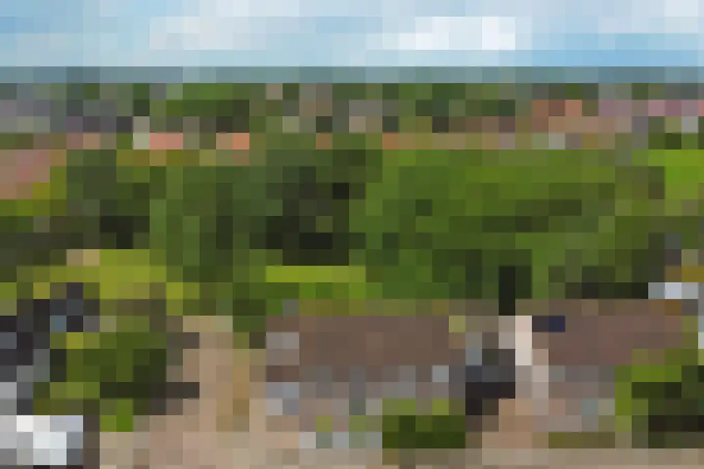 Cranendonckstraat 1 Hedel thumbnail 46