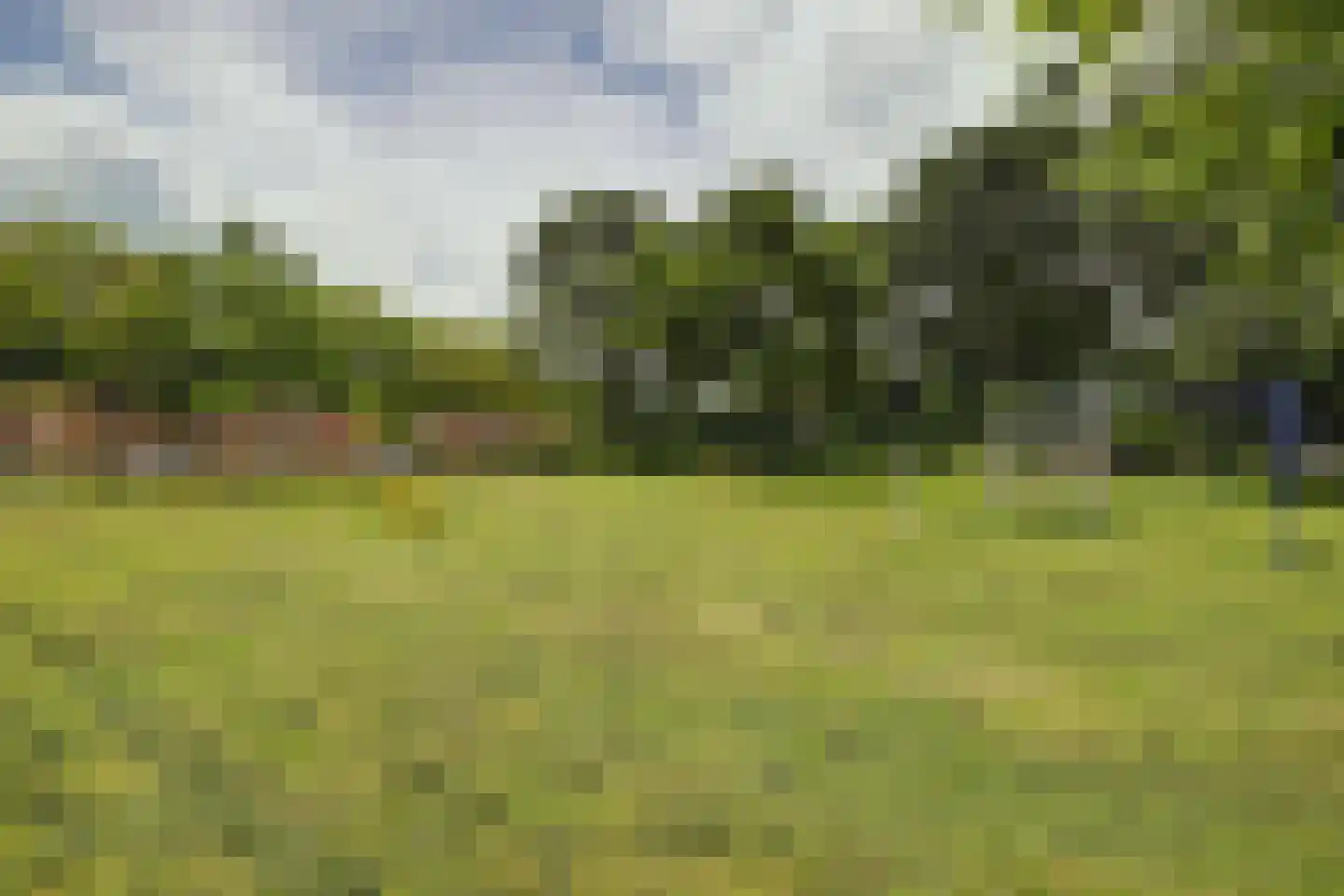 Cranendonckstraat 1 Hedel thumbnail 48