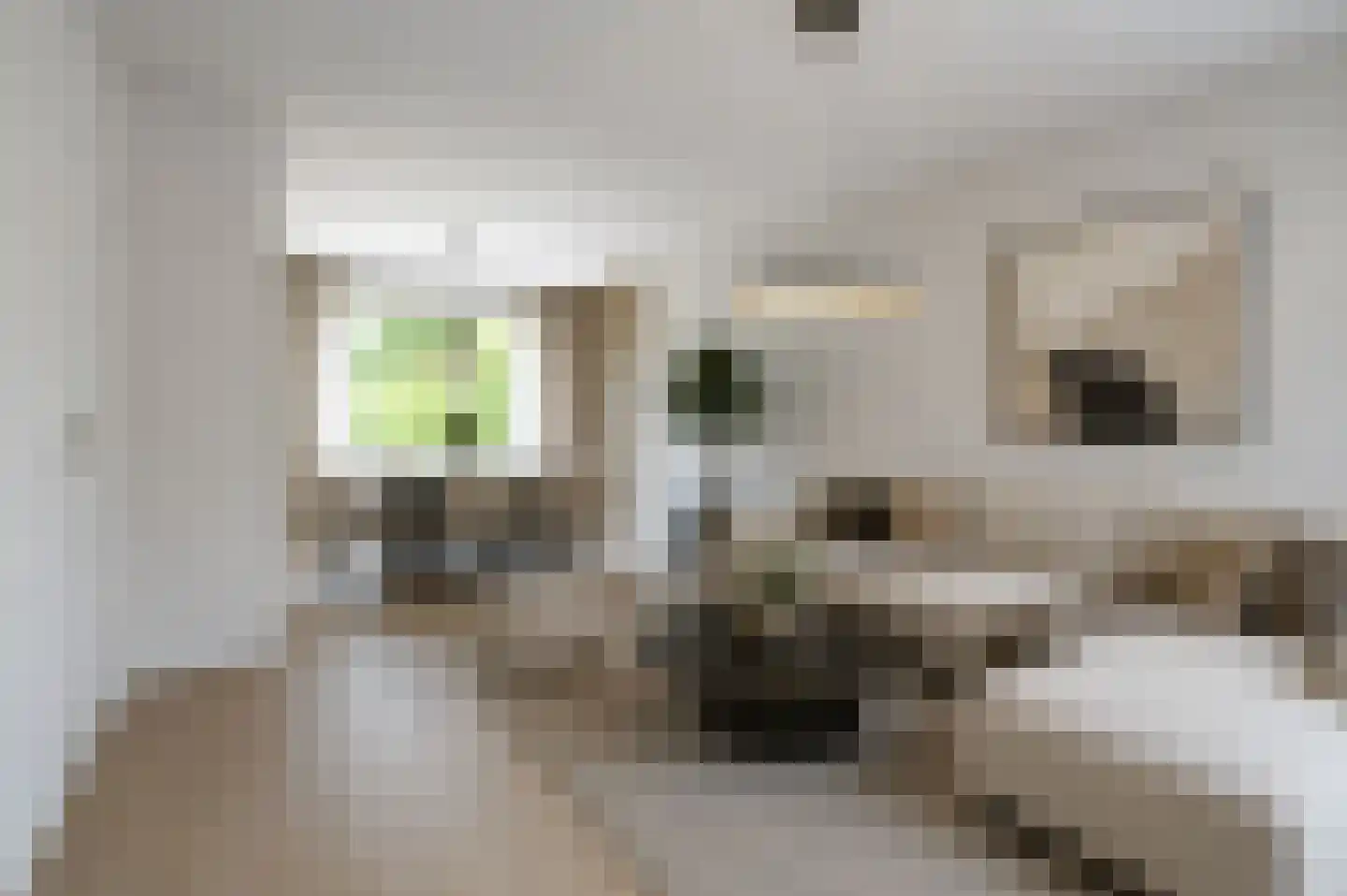 Cranendonckstraat 1 Hedel thumbnail 5