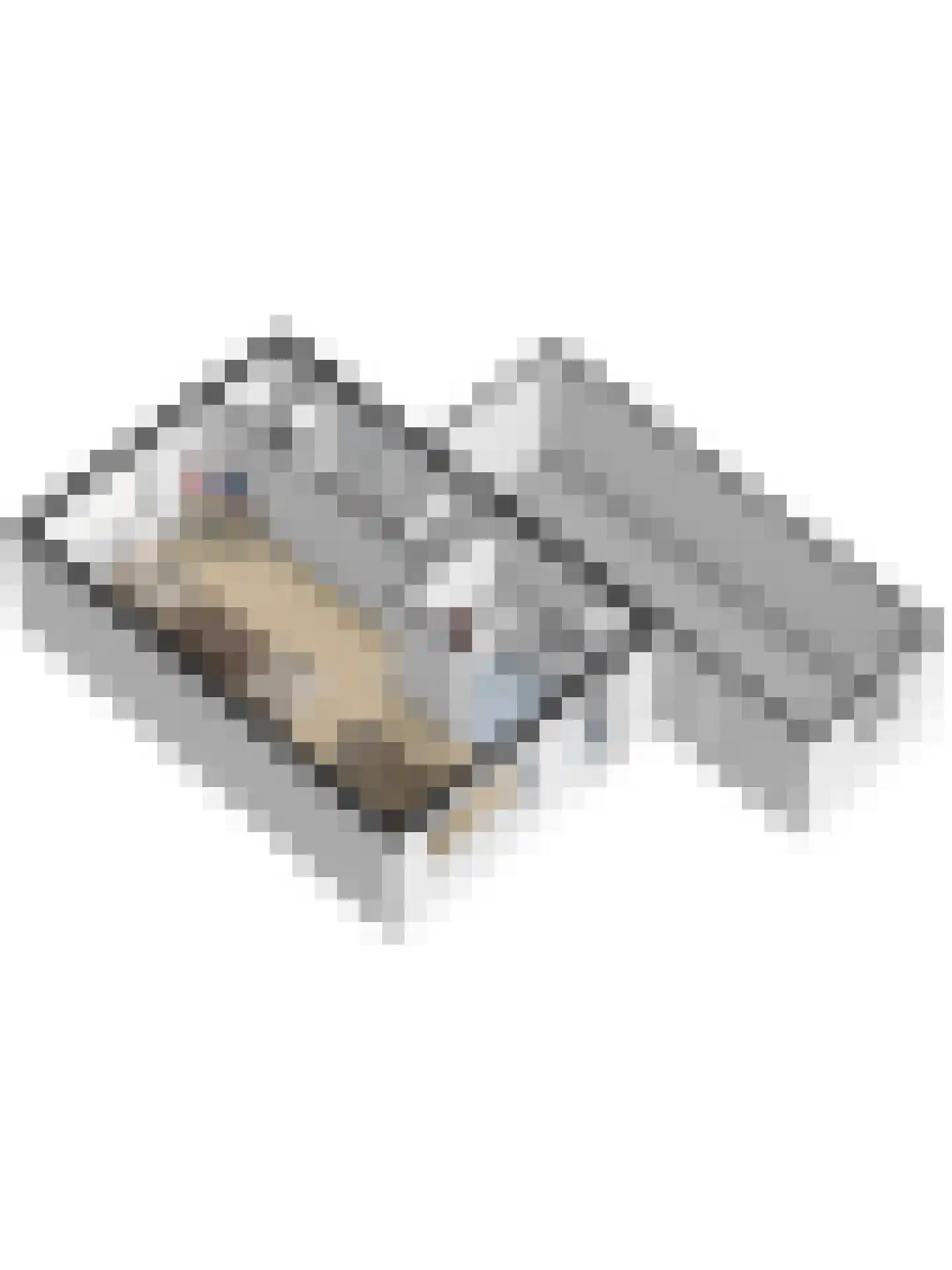 Cranendonckstraat 1 Hedel thumbnail 53
